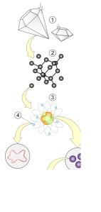 tteoria de las cuerdas