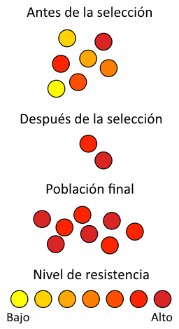 antibiotic_resistance_es