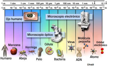 el microscopio unab