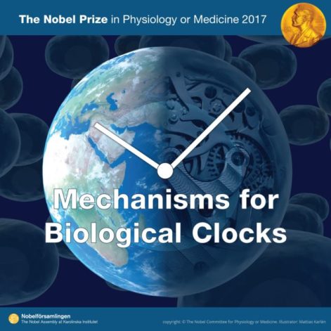 premio-nobel-medicina-ritmo-circadiano-640x640