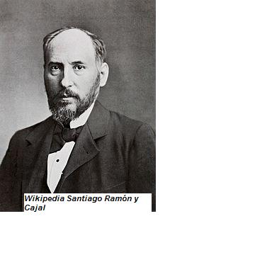 Santiago Ramón y Cajal