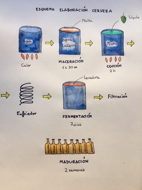 Elaboracion cerveza dibujo